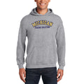 Michigan Figure Skating Arch Hooded Pullover - Sport Grey