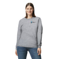 FCCA2 - Longsleeve T-Shirt -Sport Grey