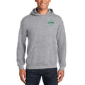 DVMS Spirit Heavy Cotton Hooded Sweatshirt - Grey